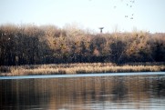 Белое озеро на Северском Донце в ноябре 2012